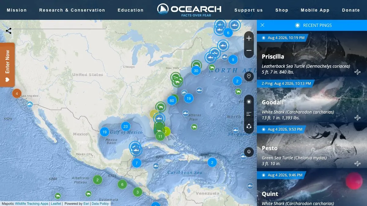 Screenshot of OCEARCH Shark Tracker