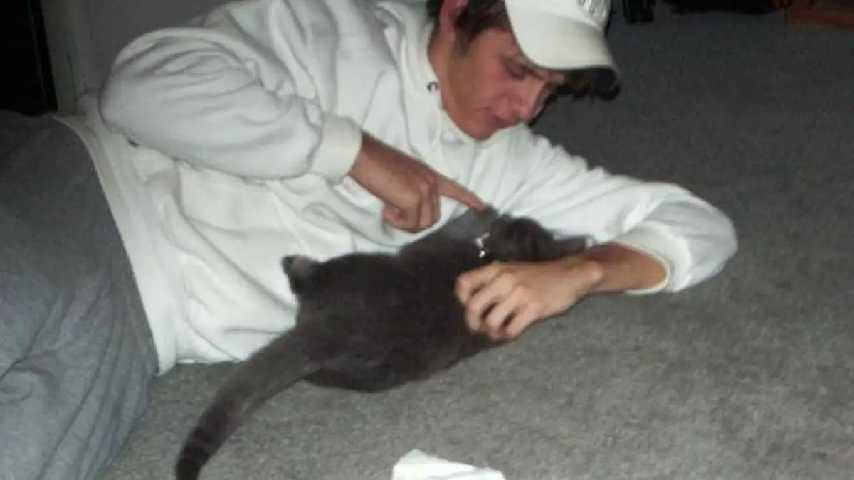 Screenshot of Pointer Pointer