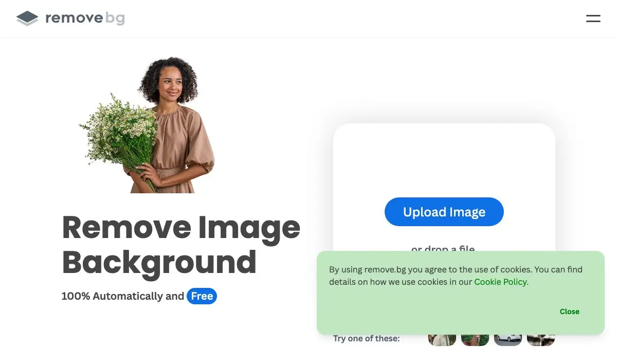 Screenshot of remove.bg